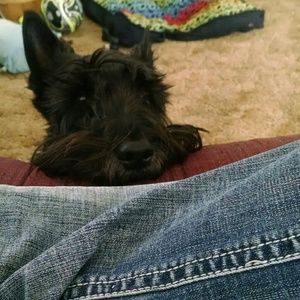 Meet your Posher, Kris