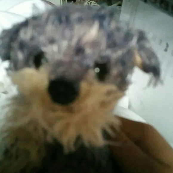 Meet your Posher, Veronica - Picture 1 of 1