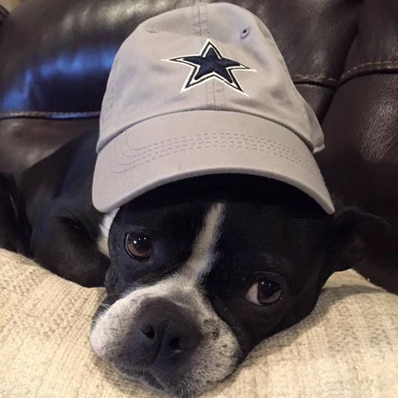 Meet your Posher, Danna - Picture 1 of 1