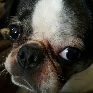 Meet your Posher, Debbie