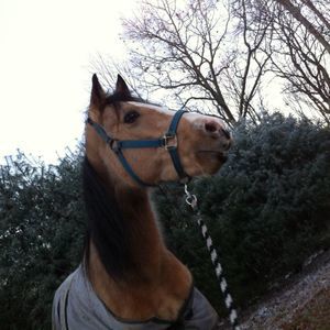 Meet your Posher, Madison