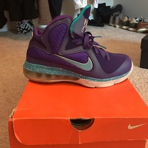 Summit Lake/Hornet Lebron 9