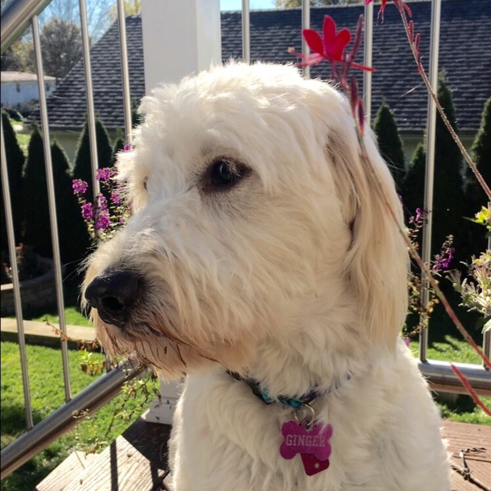 Meet your Posher, Kathryn