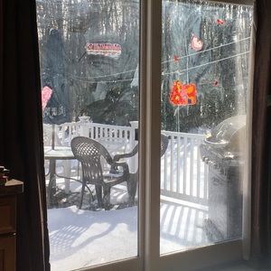 Meet your Posher, Lori