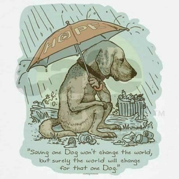 If we can live well without harming other living beings, why wouldn't we? - Picture 11 of 15