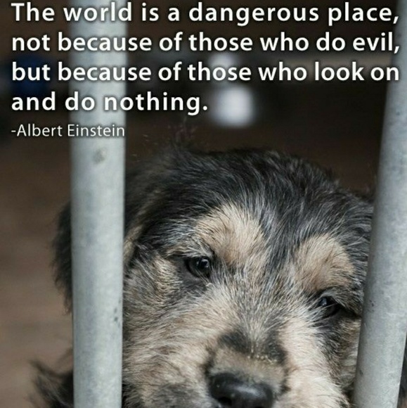 If we can live well without harming other living beings, why wouldn't we? - Picture 6 of 15