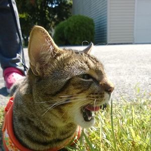 Meet your Posher, Lu