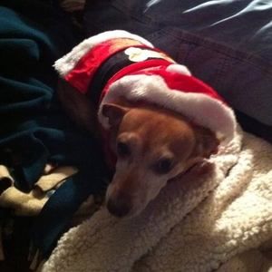 Meet your Posher, Brenda