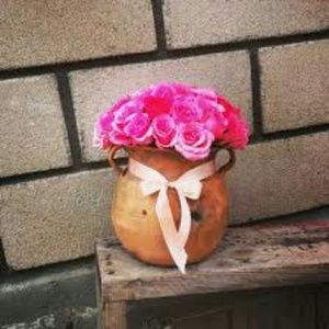 Meet your Posher, Mayra