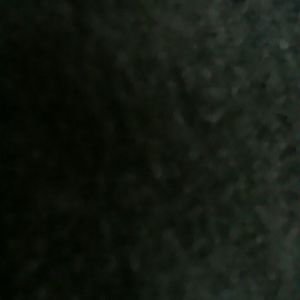 Meet your Posher, Shelbie