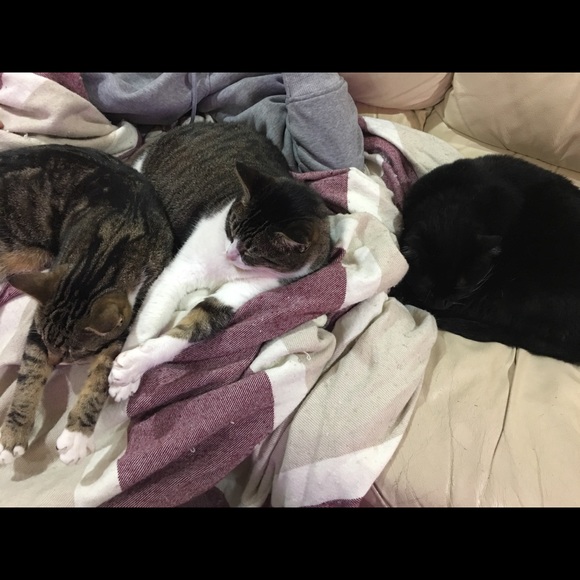 Meet your Posher, Michelle - Picture 8 of 8