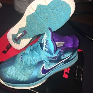 LeBron hornets