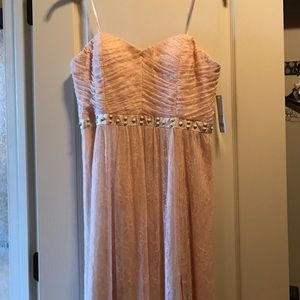 Blush lace dress nwt