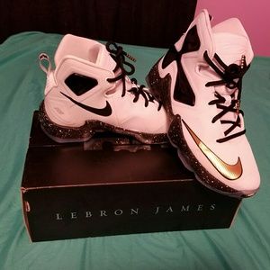 Lebron 13