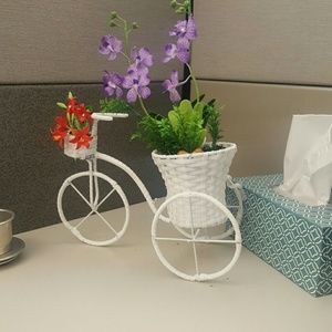 Meet your Posher, Tracy