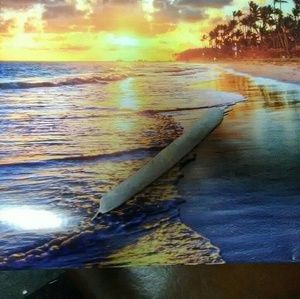 Meet your Posher, Jeanette