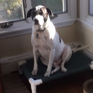 Meet your Posher, Vasilios