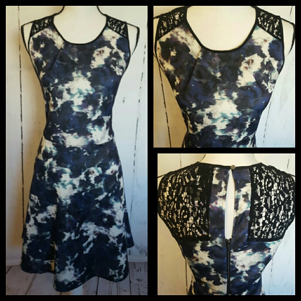 Lace Accented Fit and Flare Dress