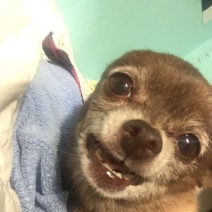 Meet your Posher, Parker