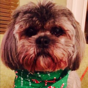 Meet your Posher, Gay