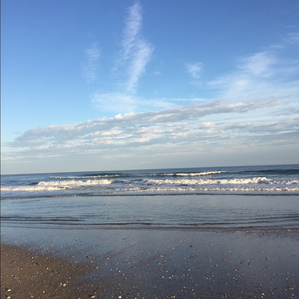 Meet your Posher, Nell