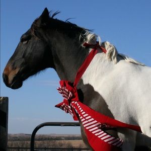 Meet your Posher, Aubrey