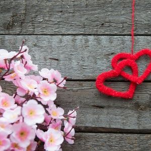 Meet your Posher, Bobbie