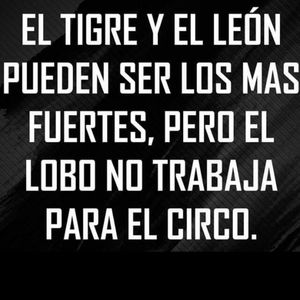 Meet your Posher, Lianjuli