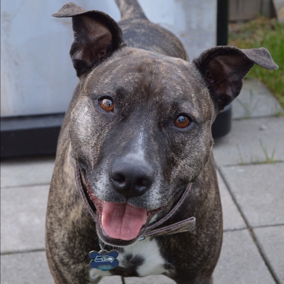 Meet your Posher, Lisa - Picture 11 of 13