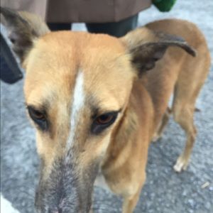 Meet your Posher, Jason