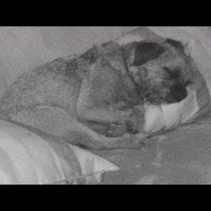 Meet your Posher, Mary jean