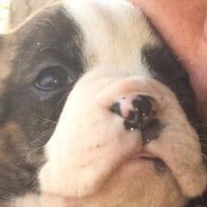 Meet your Posher, Cathy