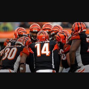 Meet your Posher, Taylar