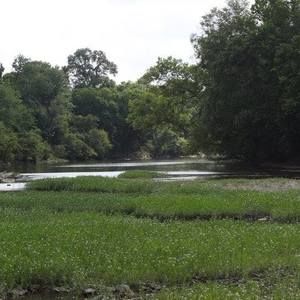 Meet your Posher, Randy