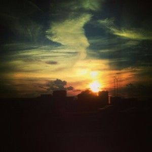 Meet your Posher, Rylee