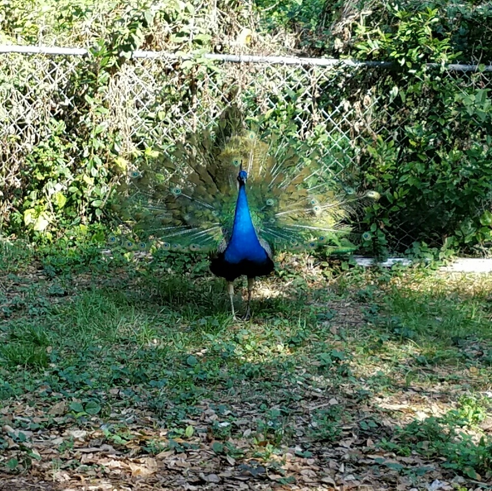 Meet your Posher, Emme