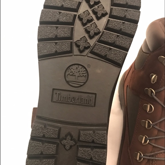 Timberland Field Waterproof Boot (Men)