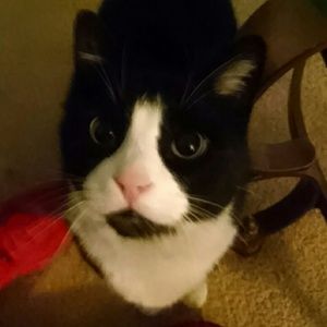 Meet your Posher, Teri