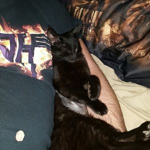 Meet your Posher, Kimberly