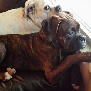 Meet your Posher, Chris