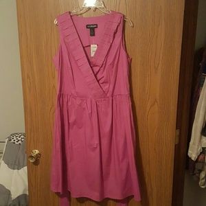 Super Cute sleeveless Dress! Lane Bryant