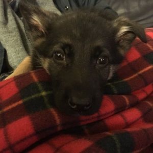 Meet your Posher, Maria