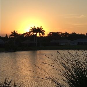 Meet your Posher, Sandy