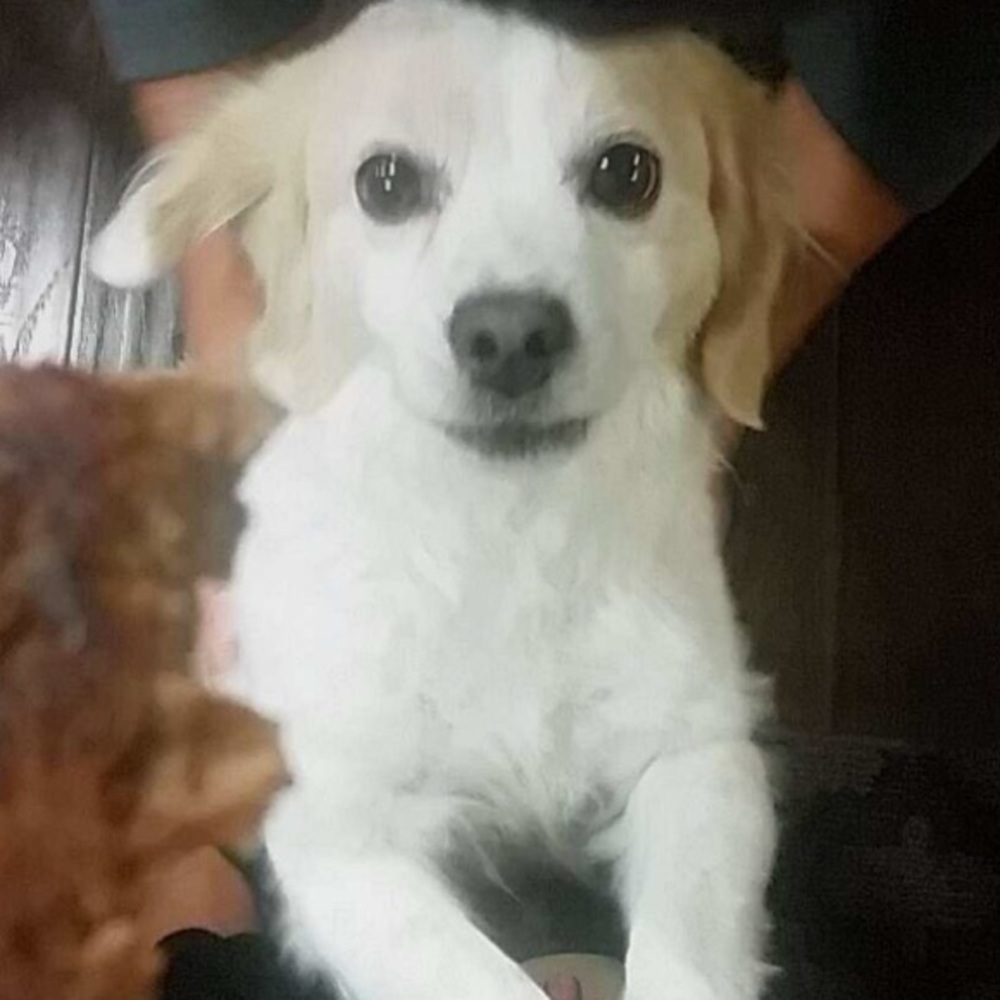 Meet your Posher, Karl