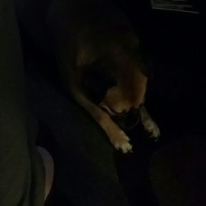 Meet your Posher, Tami