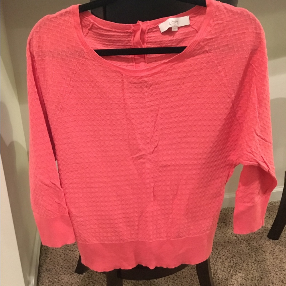 Salmon loft sweater