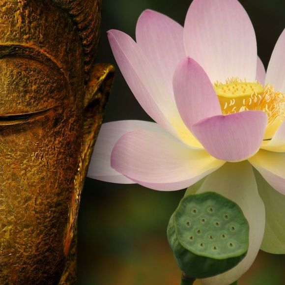 Meet your Posher, Lael - Picture 1 of 1