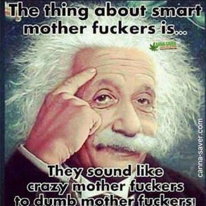 Meet your Posher, Lenell