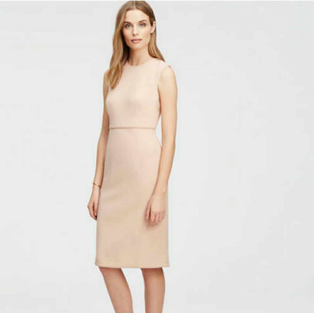 Ann Taylor New Blush  Sleeveless Sheath NWT Size 6