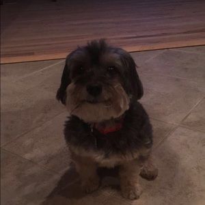 Meet your Posher, Matthew